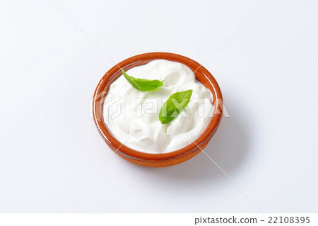 white yogurt white yogurt 22108395