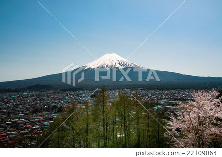 富士山從高地和盛開的櫻花盛開 富士山從高地和盛開的櫻花盛開 22109063