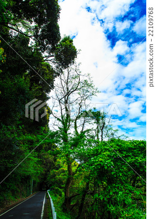 Green tunnel rail track Green tunnel rail track 22109768