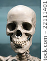 Scary Skeleton Skull 22111401