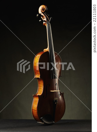 aged violin on dark background aged violin on dark background 22111803