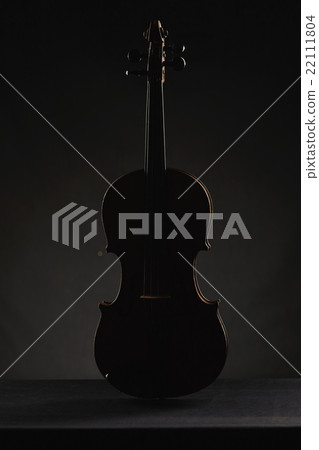 aged violin on dark background 22111804