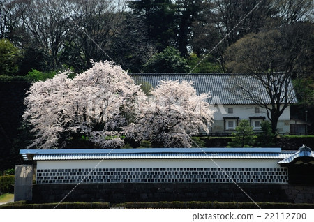 金澤城公園 金澤城公園 22112700