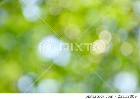 柔和的燈光聚焦 22112809