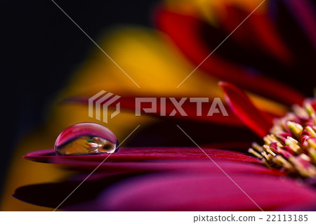 Drop Of Water, drop, water drop 22113185