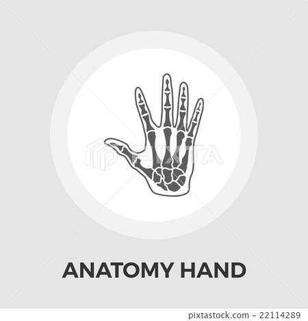 Anatomy hand Vector Flat Icon 22114289