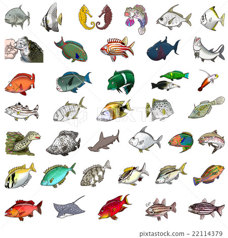 Unique fish illustration Unique fish illustration 22114379
