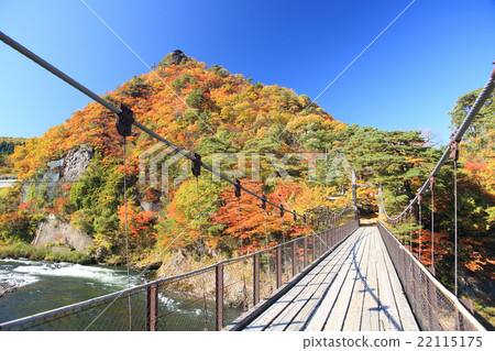 秋葉Arakawa Goro Takanosu吊橋 22115175