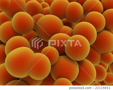 virus, bacteria, infection 22115651