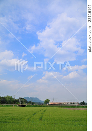 進入麥田的東武日光火車 22116165