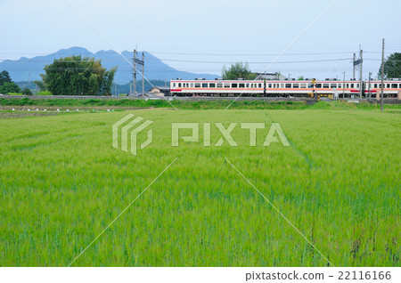 進入麥田的東武日光火車 22116166