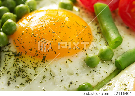 fried egg in plate fried egg in plate 22116404