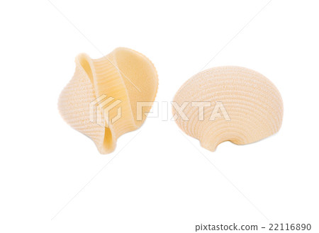 Two uncooked pasta lumaconi. 22116890