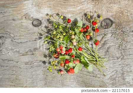 Bundle of wild strawberries on wooden background Bundle of wild strawberries on wooden background 22117015