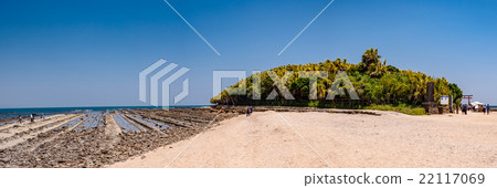 青島_宮崎縣宮崎 22117069