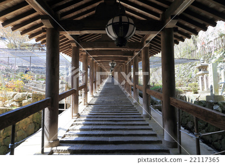 Nishikuni神聖的第八個佛教寺廟,Hase寺“在海拔下” Nishikuni神聖的第八個佛教寺廟,Hase寺“在海拔下” 22117365