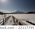 Mount Fuji  22117795