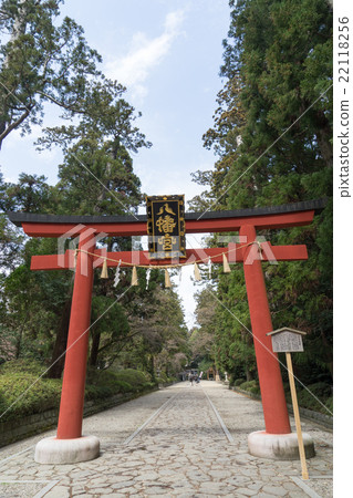 Osaki Hachimangu Shrine Miku Torii Torii 22118256