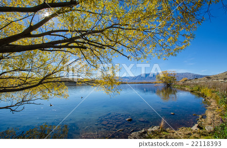 Lake McGregor,Canterbury Region, New Zealand Lake McGregor,Canterbury Region, New Zealand 22118393