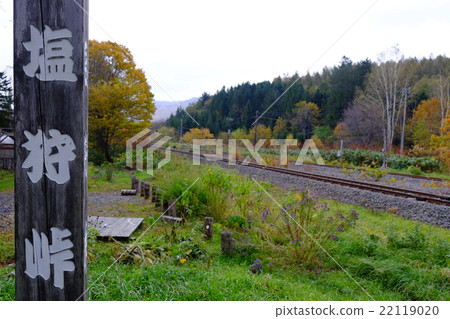 At Shionogi pass 22119020