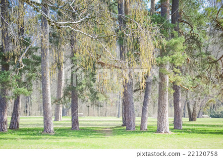 park with trees on a sunny day filter 22120758