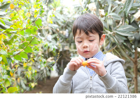 孩子們享受琵琶狩獵 孩子們享受琵琶狩獵 22121386