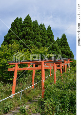 森稻荷神社 22122446