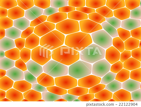 Snake Skin Pattern 22122904