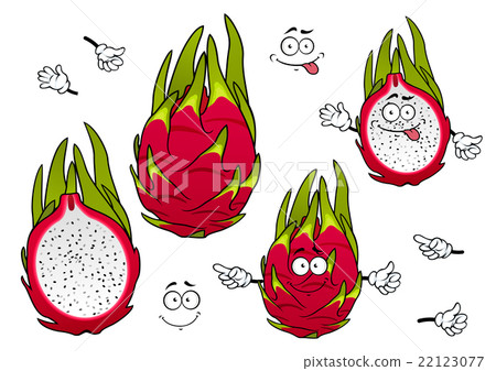 Vivid exotic pitaya fruits cartoon characters Vivid exotic pitaya fruits cartoon characters 22123077