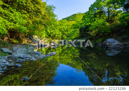 Arashiyama山谷的新鮮綠色 22123286