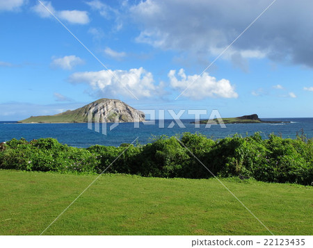 Rabbit Island 22123435