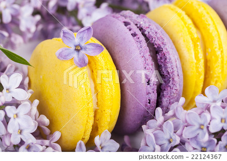 Traditional french macaroons Traditional french macaroons 22124367