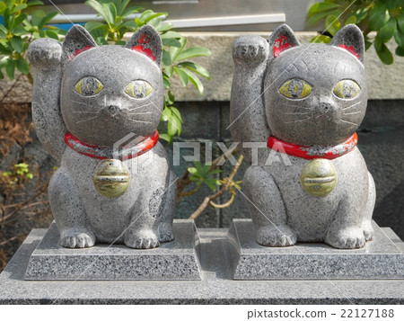 Imekoto Shrine's lucky cat Imekoto Shrine's lucky cat 22127188