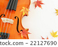 Autumnal leaves (maple) and violin 22127690