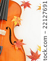 Autumnal leaves (maple) and violin 22127691