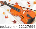 Autumnal leaves (maple) and violin 22127694