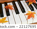 Autumn leaves (maple) and piano 22127695