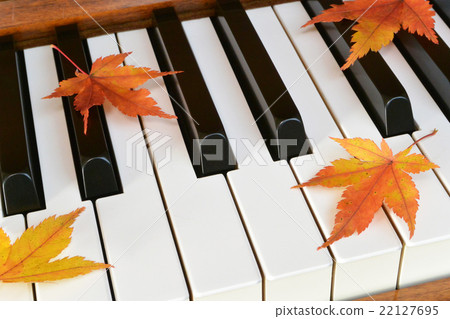Autumn leaves (maple) and piano Autumn leaves (maple) and piano 22127695