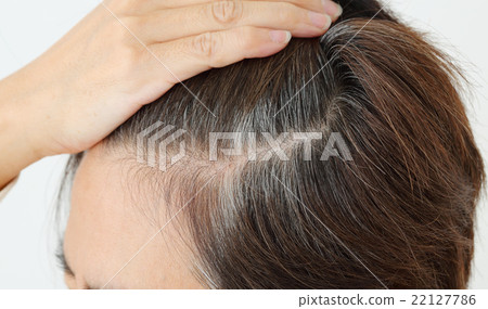 中間女性白髮 22127786