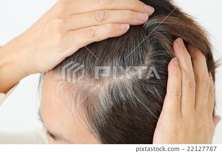 Middle female gray hair Middle female gray hair 22127787