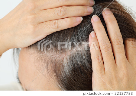 Middle female gray hair 22127788
