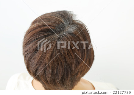 Middle female gray hair 22127789