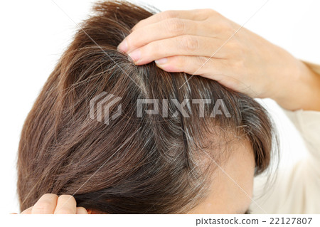 Middle female gray hair 22127807