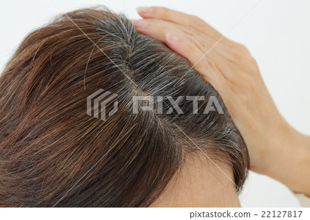 Middle female gray hair 22127817