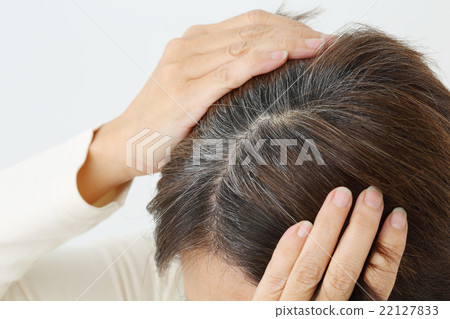中間女性白髮 22127833