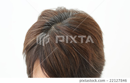 Middle female gray hair 22127846