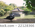 Kamenendido / Pond水庫 22128366