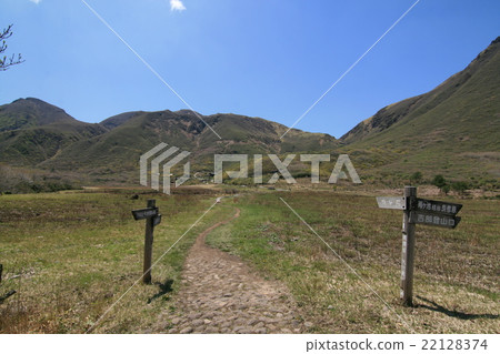[Kujuyama] Walk around the bog-tsuru moor 22128374
