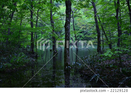 Nature with a magical world view 22129128