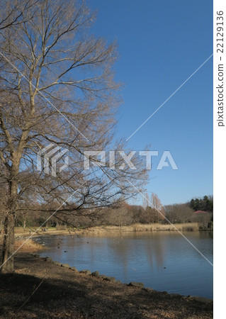 Megumi自然公園在早春 22129136